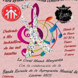 Festival solidario