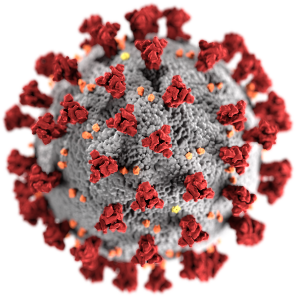 Coronavirus Microscopio