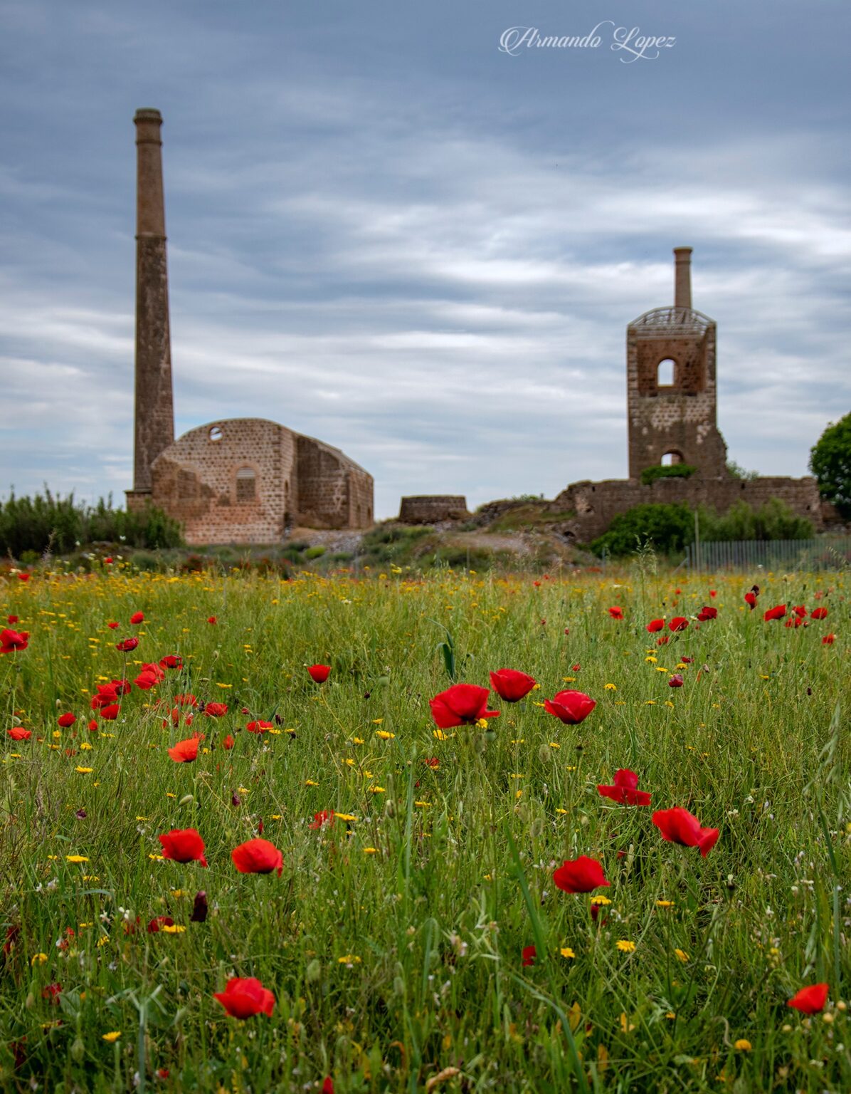 Minas primavera