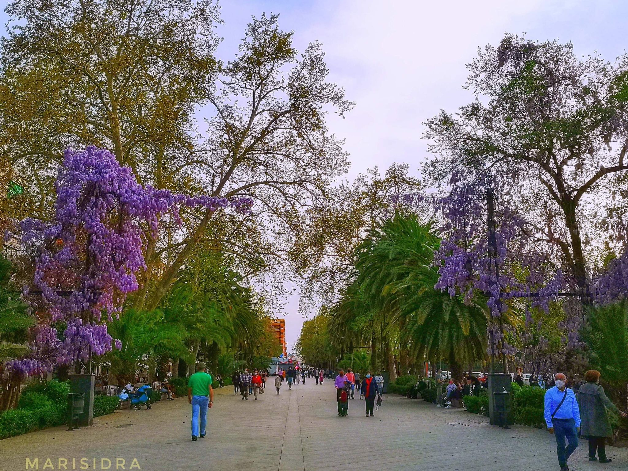 Paseo de Linarejos