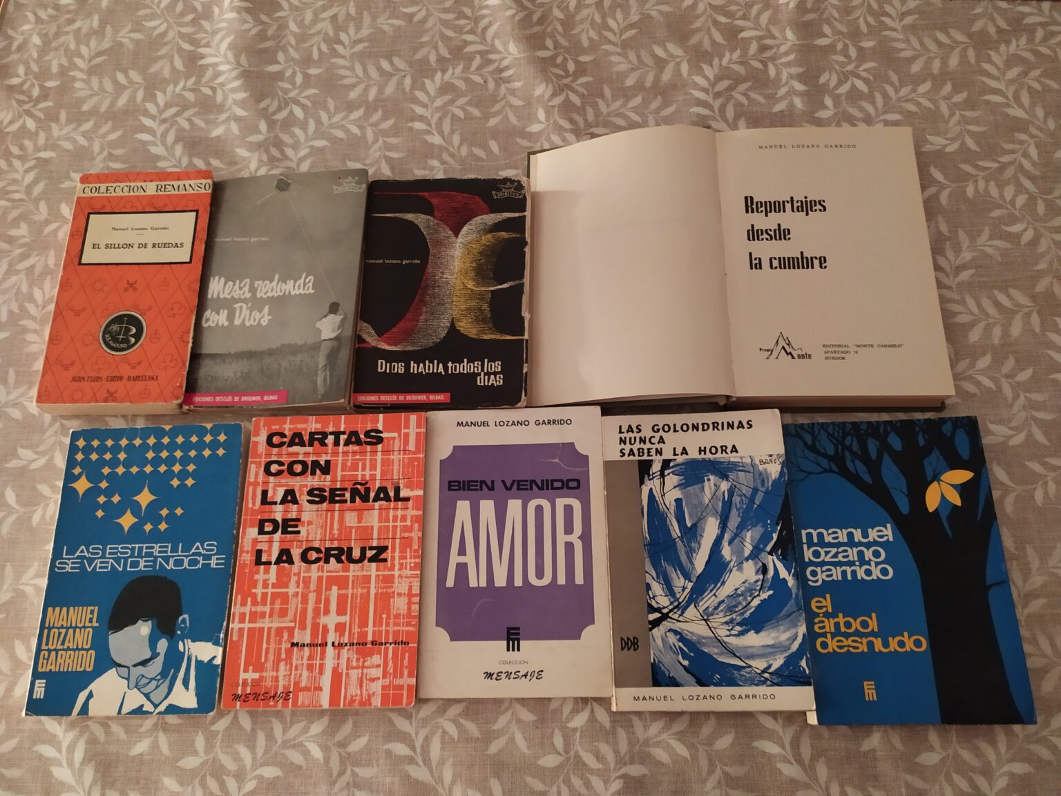 Lolo y sus libros